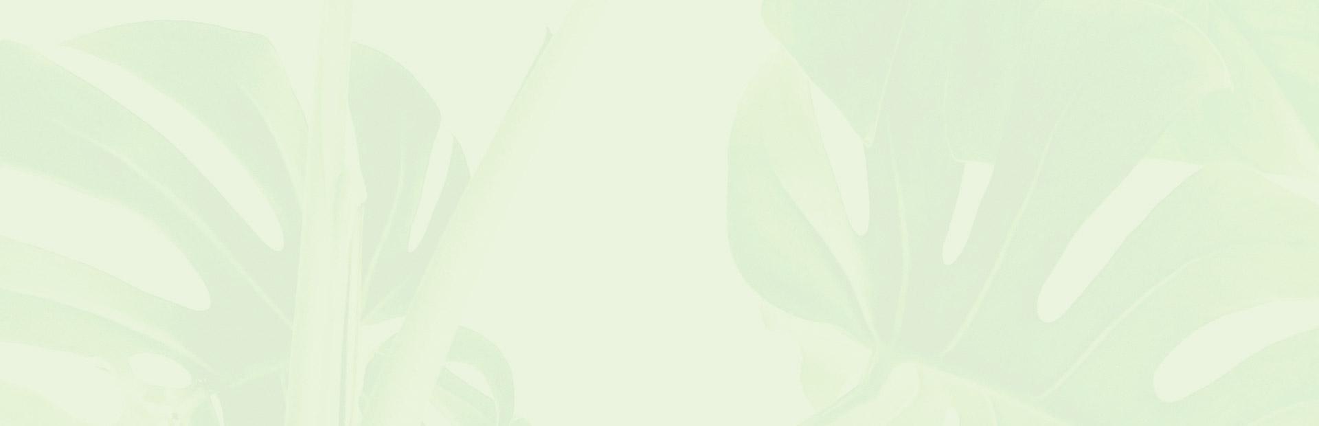 Vegan Store Home Alt 6 Leaves Background